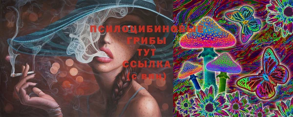 прущие крисы Алексин