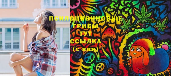 PSILOCYBIN Алексеевка