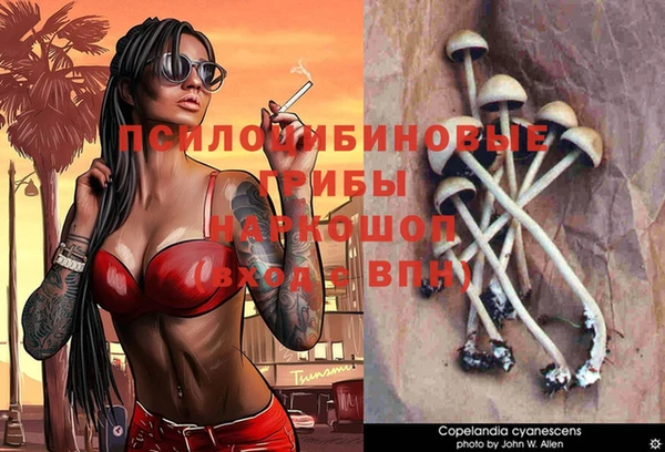 PSILOCYBIN Алексеевка