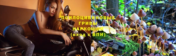 прущие крисы Алексин
